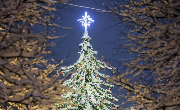 Новогодняя елка На Цветном бульваре в Москве.