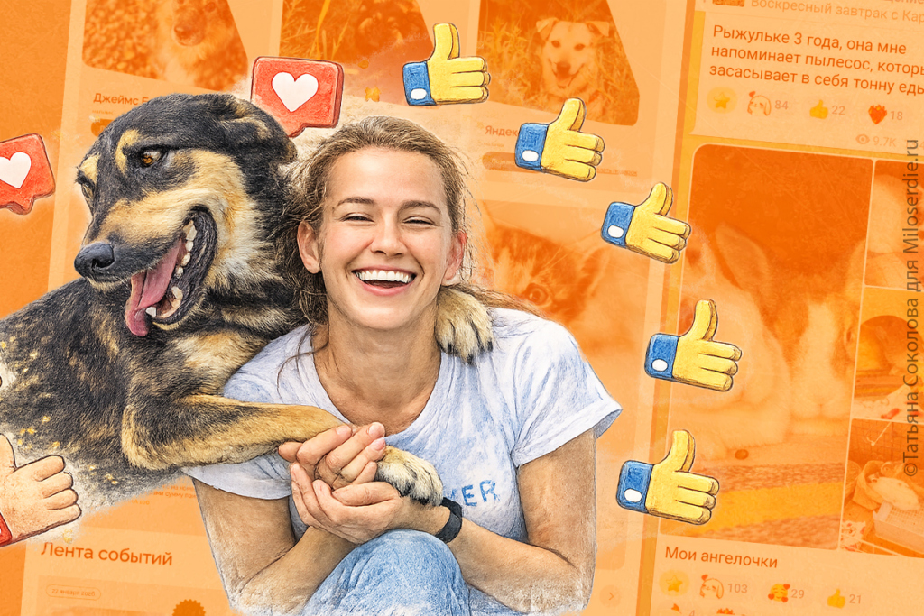 Коллаж. Блогеры и НКО