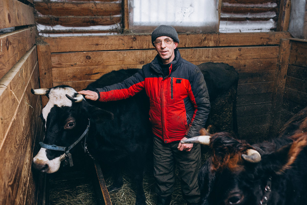 Мужчина в хлеву с коровой