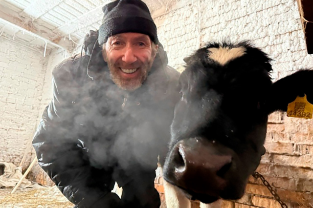 Мужчина с коровой