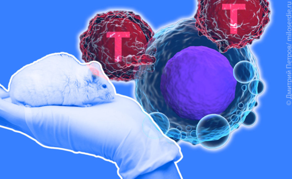 медколонка