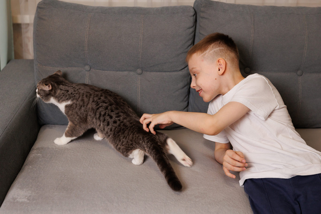 Мальчик на диване с котом