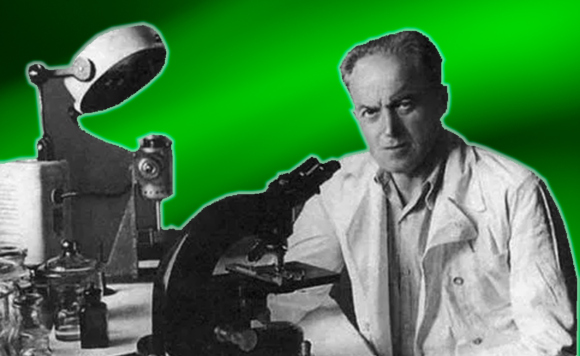 Коллаж. Лев Зильбер