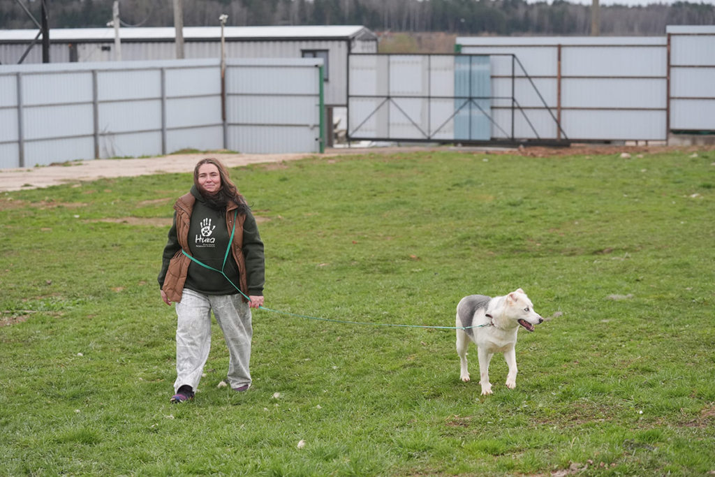 Молодая женщина выгуливает собаку 