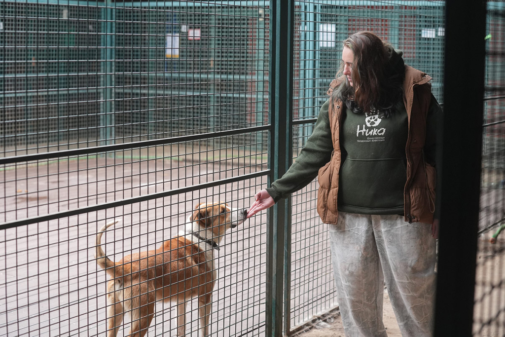 Молодая женщина кормит собаку в вольере 