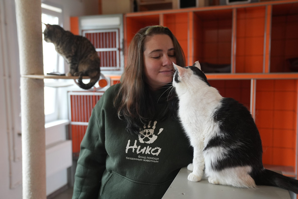 Портрет молодой женщины с котами