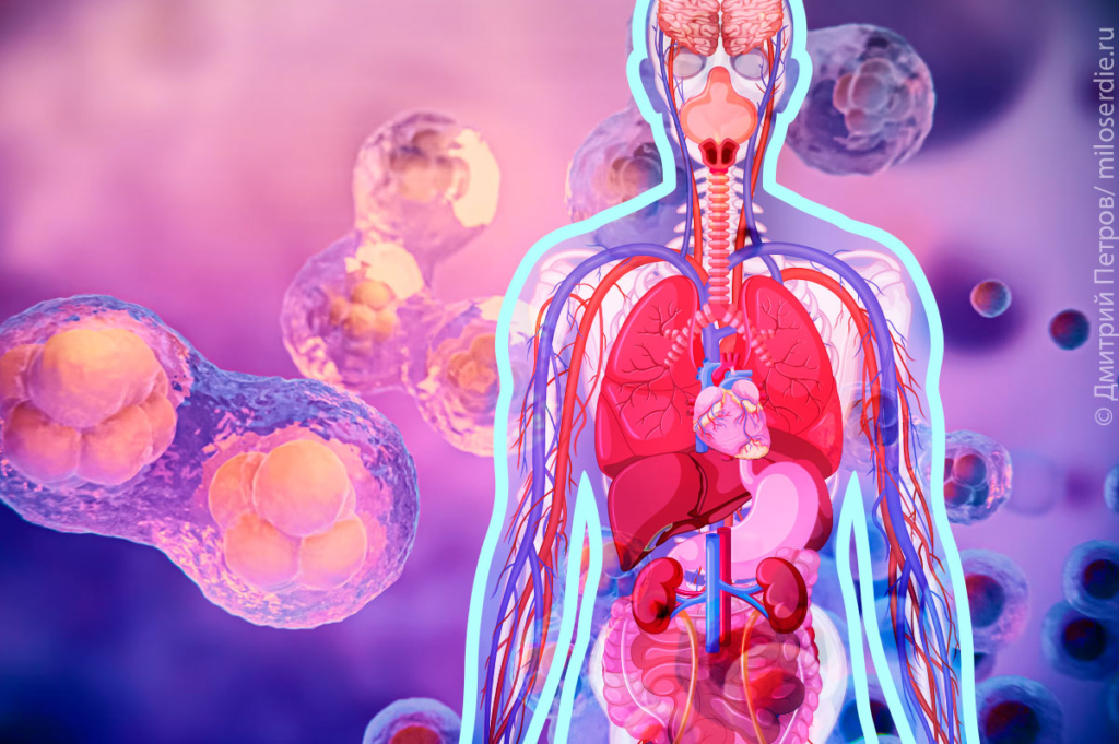 Коллаж. Стволовые клетки