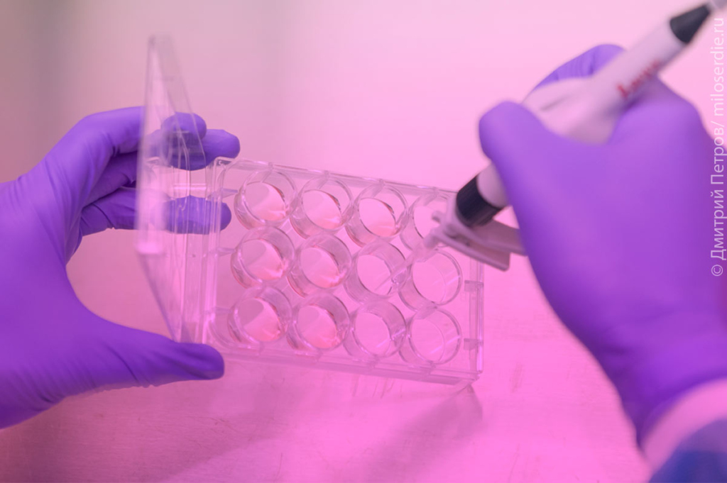 Коллаж. Стволовые клетки 