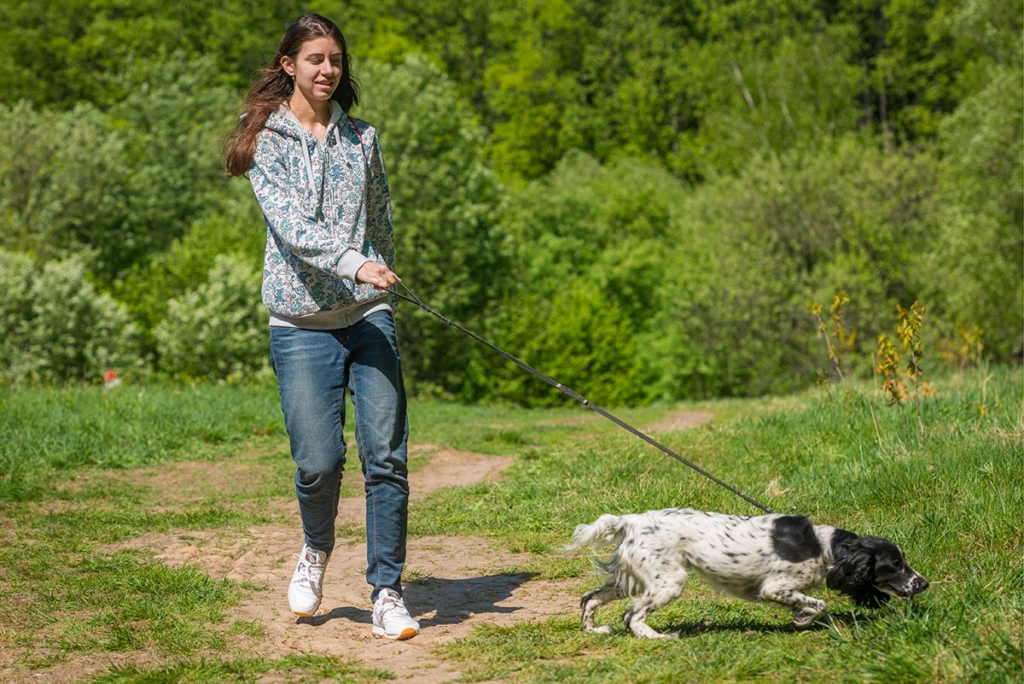 Девушка гуляет со своей собакой в Измайловском парке