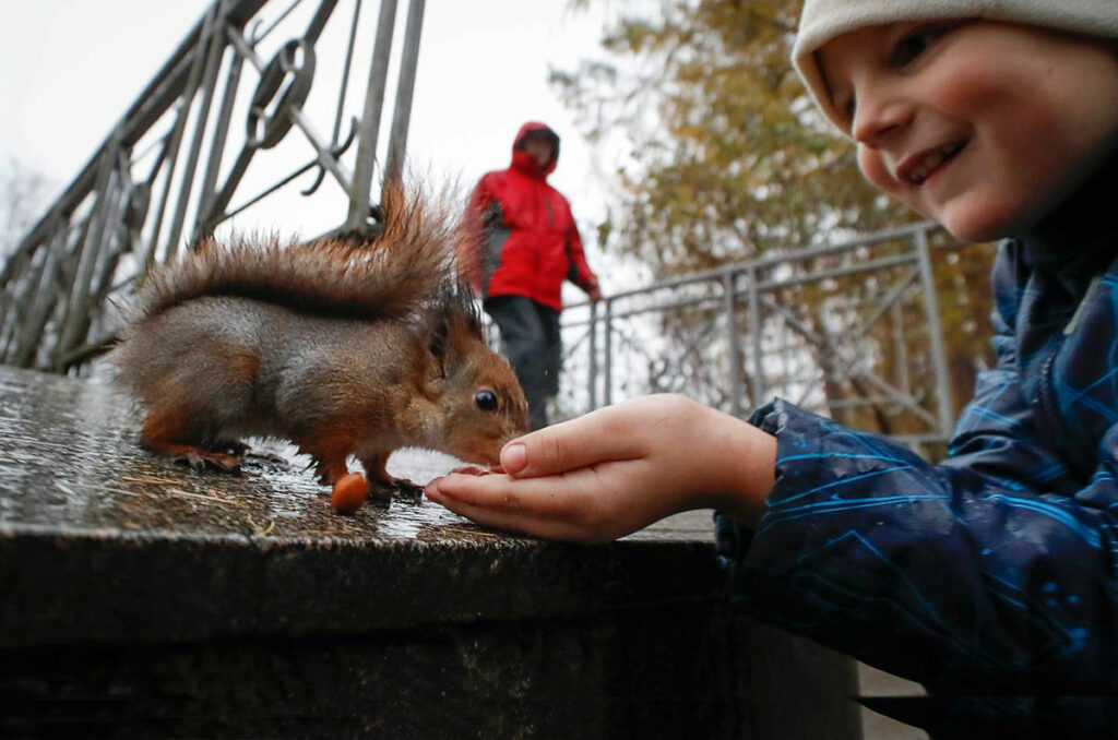 Фото: Dmitri Lovetsky/AP/TASS, 09.11.2019