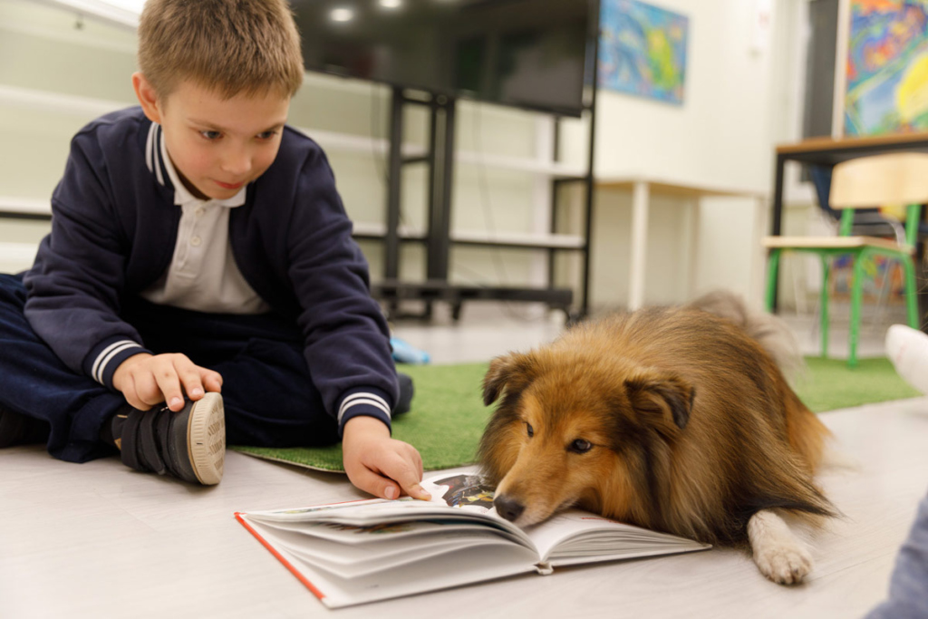 мальчик показывает собаке картинки в книге