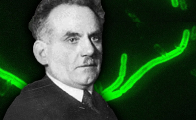 Доктор Симон Зеликович Горелик. На фоне — чумная палочка (флюоресцентная микроскопия). Фото: CDC/ Courtesy of Larry Stauffer, Oregon State Public Health Laboratory