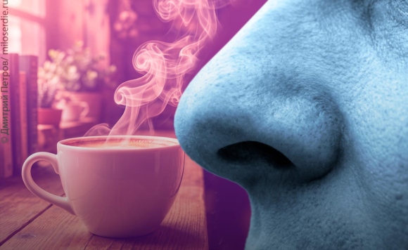 коллаж